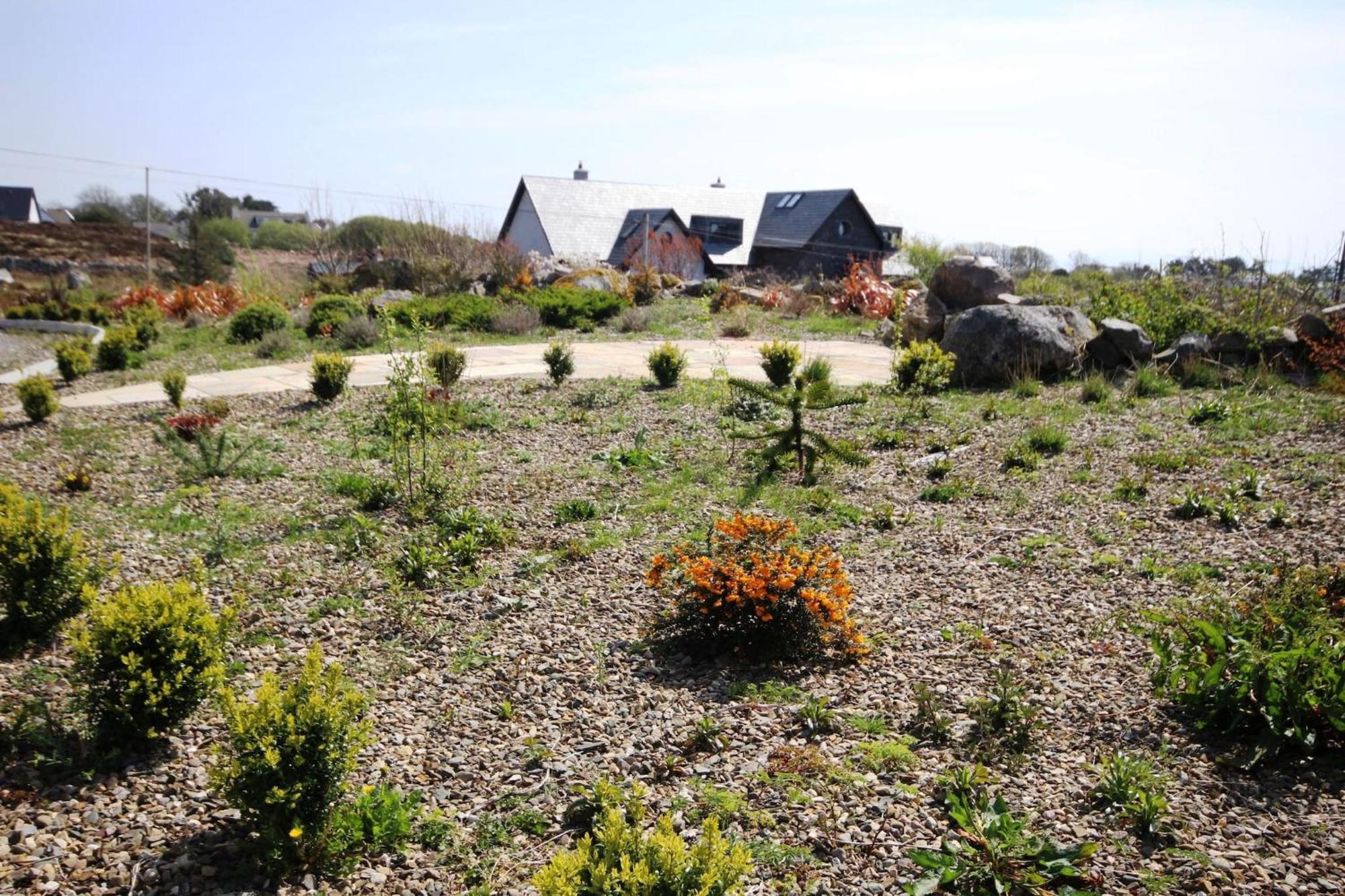 The Uplands Villa Spiddal Eksteriør bilde